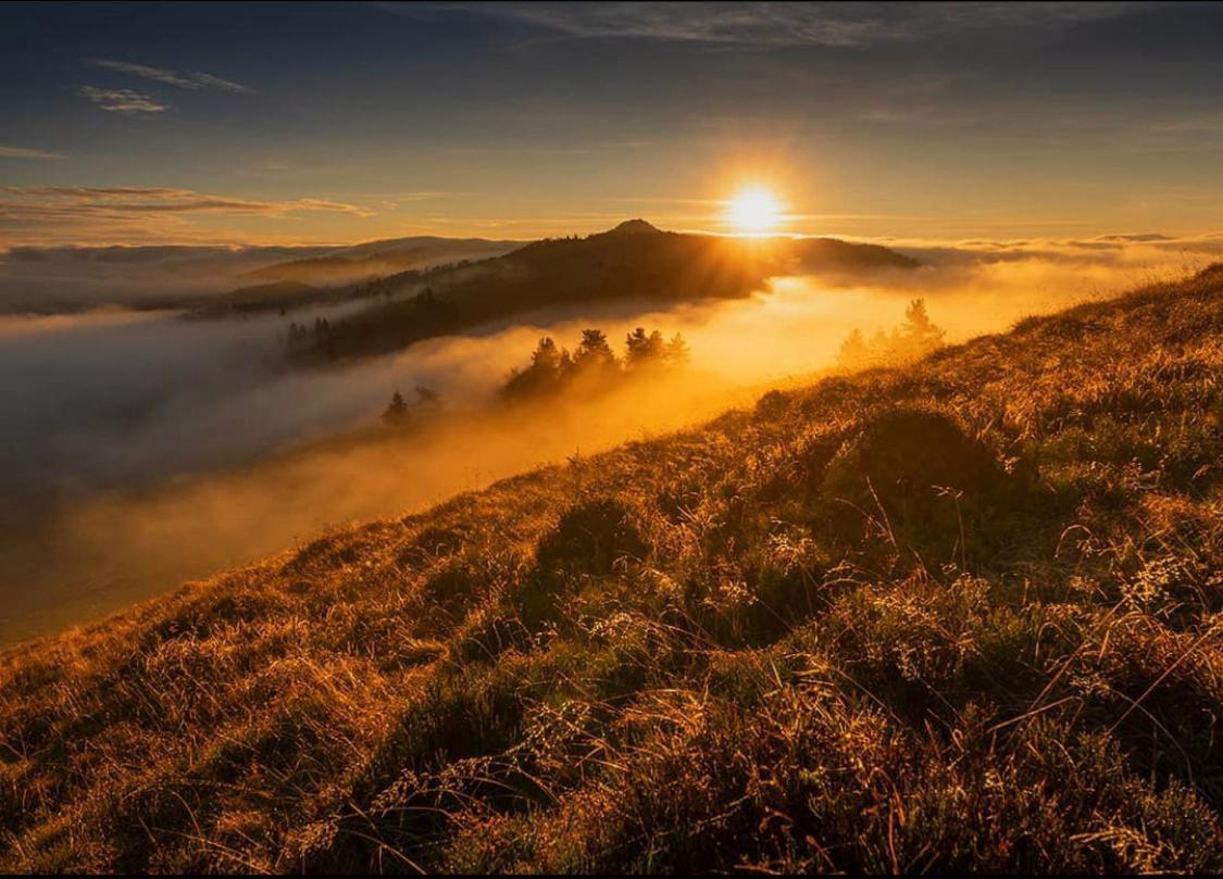 Dom Wypoczynkowy Pod Polanka คอร์เบียลุฟ ภายนอก รูปภาพ