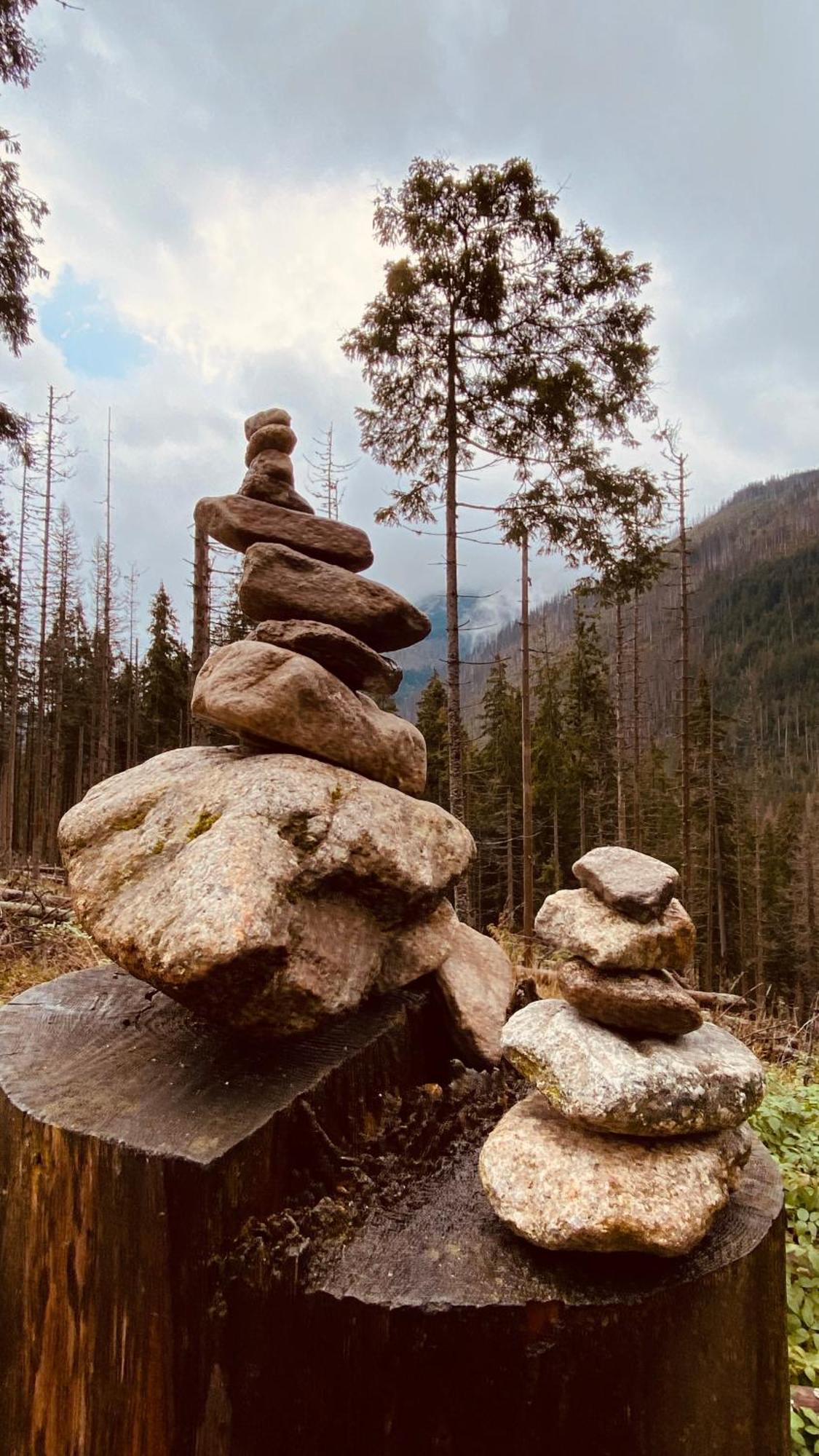 Dom Wypoczynkowy Pod Polanka คอร์เบียลุฟ ภายนอก รูปภาพ